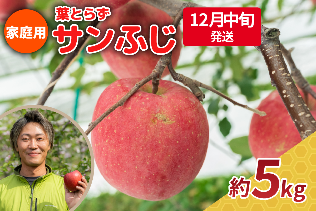【2025年12月中旬発送】りんご 5kg 程度 葉とらず サンふじ 11月 12月 家庭用 青森産 りんご ふじ 【 サンふじりんご 葉とらずりんご くだものフルーツ果物林檎約5kg 】