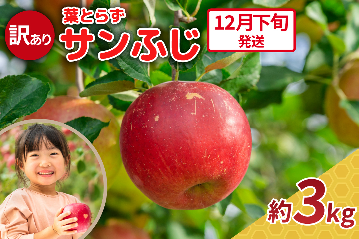 ふるさと納税 りんご 青森県 五所川原市 2024年12月中旬発送 りんご 葉とらず サン ふじ 5kg 程度 青森 林檎 リンゴ サンフジ サンふじ 12月中旬発送 ふるさと納税 五所川原市 2025年12月下旬発送訳ありりんご約