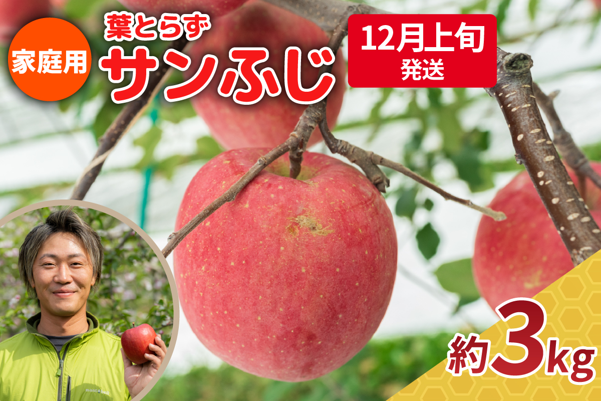 【2025年12月上旬発送】りんご 3kg 程度 葉とらず サンふじ 11月 12月 家庭用 青森産 りんご ふじ 【 サンふじりんご 葉とらずりんご くだものフルーツ果物林檎約3kg 】
