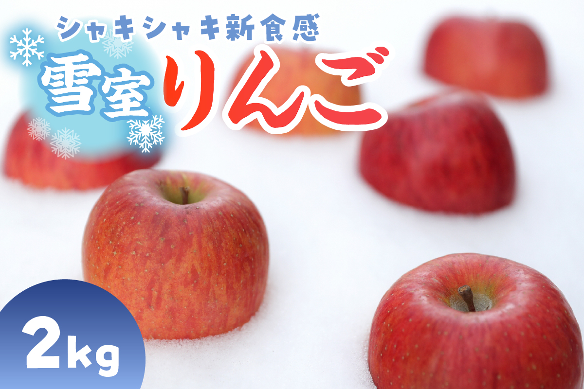 雪室りんご サンふじ 2kg 程度【2026年3月上旬～下旬 順次発送】青森りんご 青森 りんご 林檎 リンゴ 2キロ 五所川原 雪室 雪 貯蔵 ringo