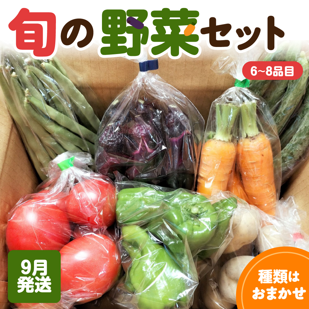 野菜セット 「産直メロス」【2025年9月発送】 旬の野菜詰め合わせ 野菜 詰合せ セット詰め合わせ 国産 旬 おまかせ お楽しみ 直送 詰合 青森 五所川原 6～8品