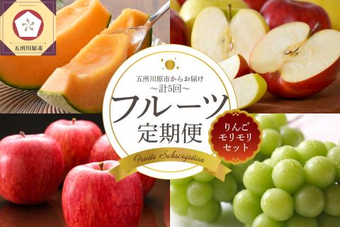 【2025年8月発送開始】フルーツ 定期便 5回 りんご モリモリ セット　訳あり品含む