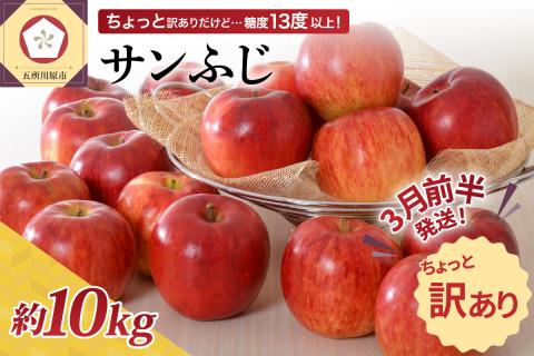 【2026年3月前半発送】 【ちょっと訳あり】 りんご 約10kg サンふじ 青森産