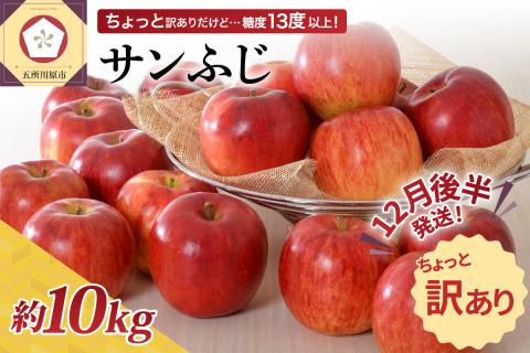 【2025年12月後半発送】 【ちょっと訳あり】 りんご 約10kg サンふじ 青森産
