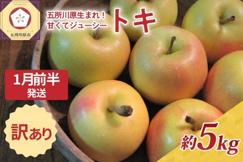 【2024年1月前半発送】訳あり トキ 約5kg