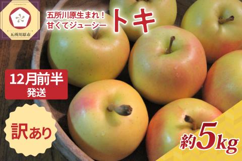 【2025年12月前半発送】訳あり トキ 約5kg