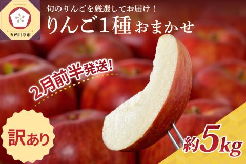 【2026年2月前半発送】 【訳あり】 りんご 青森産 約5kg 品種おまかせ1種