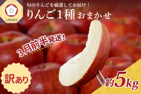 【2026年3月前半発送】 【訳あり】 りんご 青森産 約5kg 品種おまかせ1種