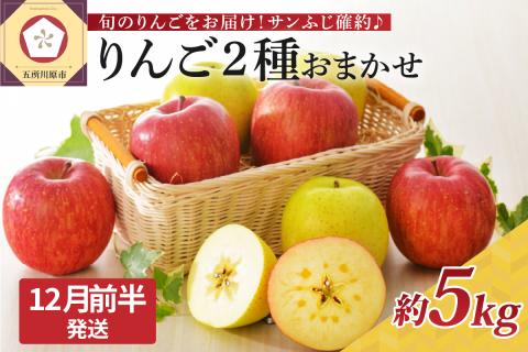 【2026年12月前半発送】 りんご 青森産 約5kg サンふじ 確約 品種おまかせ2種以上 贈答用 特選～特秀
