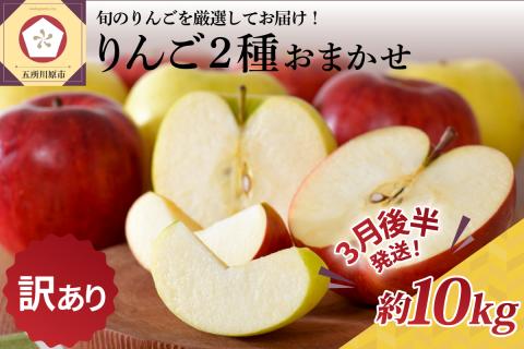 【2026年3月後半発送】 【訳あり】 りんご 約10kg 青森産 品種おまかせ2種以上