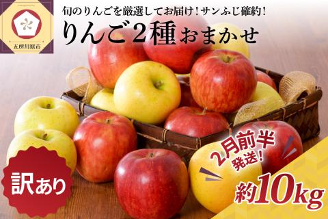 【2026年2月前半発送】 【訳あり】 りんご 約10kg サンふじ確約 青森産 品種おまかせ2種以上