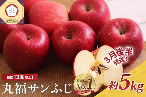 【2026年3月後半発送】 りんご 青森産 約5kg 丸福 サンふじ 光センサー 選果 糖度 13度以上