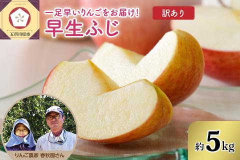 【2025年10月上旬発送】訳あり 早生ふじ 5kg