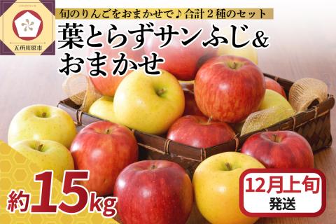 【2025年12月上旬発送】 りんご 15kg 詰め合わせ 計2種(葉とらず サンふじ と 他1種)