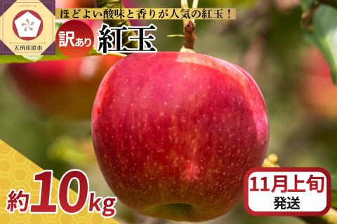 【2025年11月上旬発送】【訳あり】 りんご 10kg 紅玉 アップルパイ に最適 青森 不揃い