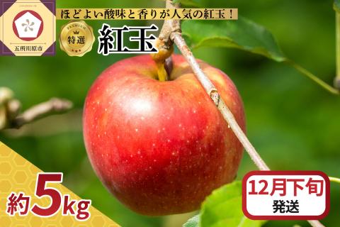 【2025年12月下旬発送】【特選】 りんご 5kg 紅玉 青森