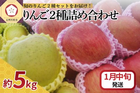 【2026年1月中旬発送】 りんご 5kg サンふじ 王林 他 紅白 詰め合わせ 青森