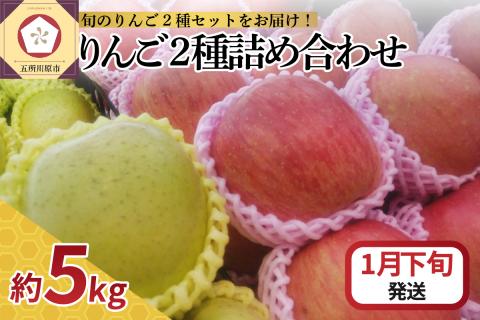 【2026年1月下旬発送】 りんご 5kg サンふじ 王林 他 紅白 詰め合わせ 青森