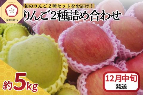 【2025年12月中旬発送】 りんご 5kg サンふじ 王林 他 紅白 詰め合わせ 青森
