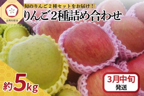 【2026年3月中旬発送】 りんご 5kg サンふじ 王林 他 紅白 詰め合わせ 青森