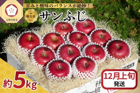 【2025年12月上旬発送】【贈答用】りんごサンふじ5kg青森