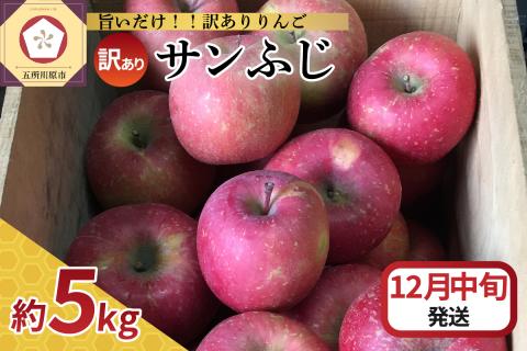 【2025年12月中旬発送】【訳あり】りんごサンふじ5kg青森