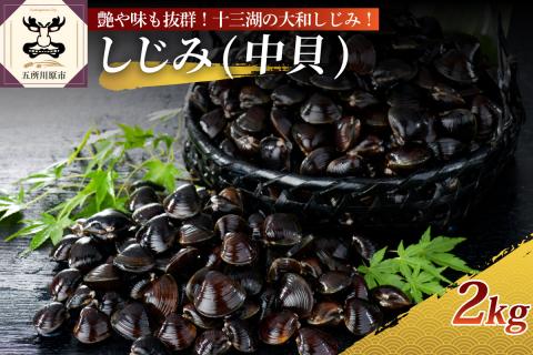 十三湖産大和しじみ（中貝）2kg（冷凍・砂抜き済）