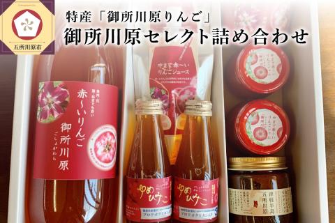 中まで赤～いりんご「御所川原」セレクト