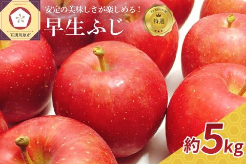 【2025年10月発送】 早生 ふじ 【特選】 約 5kg りんご 青森 産