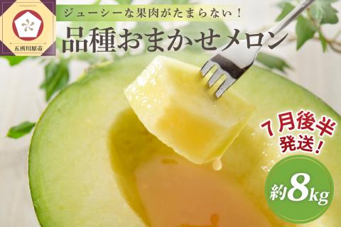 【2026年7月後半発送】 青森のメロン 約8kg 青肉 4～6玉 秀～優