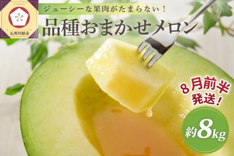【2026年8月前半発送】青森のメロン 約8kg 青肉 4～6玉 秀～優