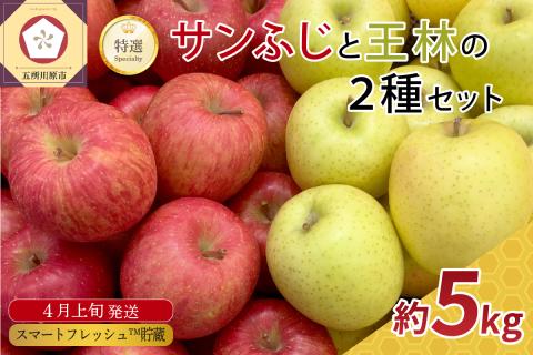 [2024年4月上旬発送]りんご春のサンふじ王林特選5kgスマートフレッシュTM貯蔵