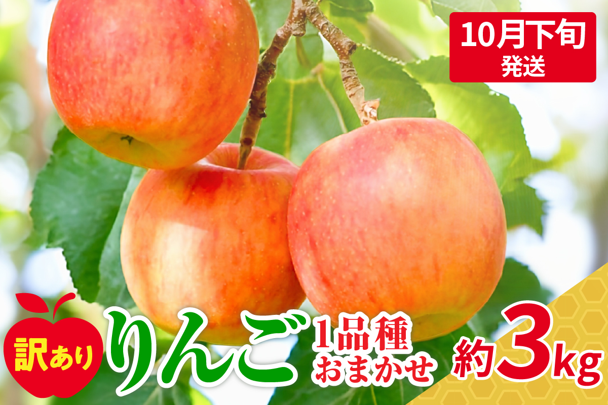 [2024年10月下旬発送]訳ありりんご約3kg(7〜12個程度)|おまかせ品種|青森県五所川原市