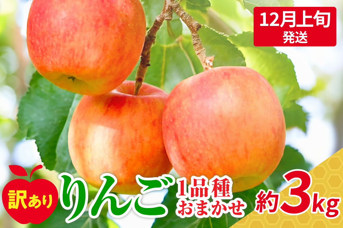 [2024年12月上旬発送]訳ありりんご約3kg(7〜12個程度)|おまかせ品種|青森県五所川原市