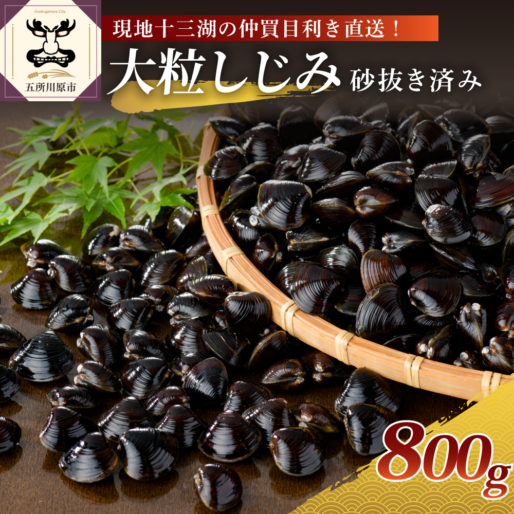 津軽十三湖産大粒しじみ800g(冷凍・砂抜き済)