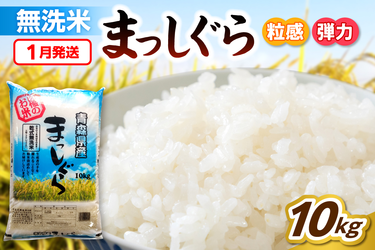 【1月発送】無洗米 10kg 青森県産 まっしぐら 令和7年産米(精米)