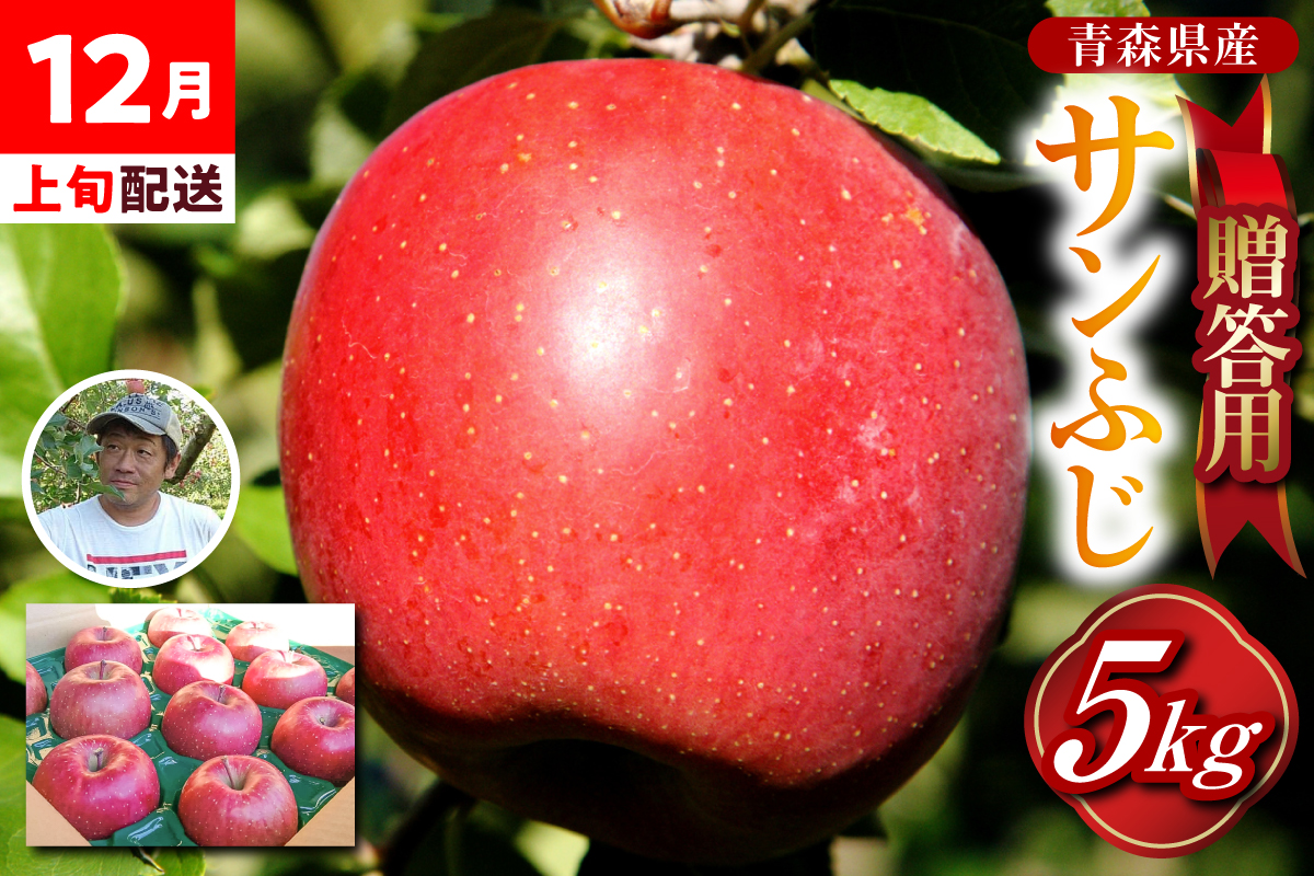 りんご 贈答用 [2025年12月上旬発送] 約 5kg サンふじ 五所川原 [ 青森りんご サンふじりんご リンゴ 林檎 青森 贈答 ]