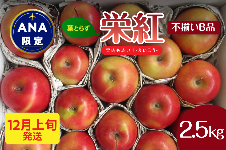[ANA限定]中まで赤〜いりんご[栄紅][2025年12月上旬発送] 葉とらずりんご 訳あり 約2.5kg 不揃い B品 家庭用 青森県 五所川原市 りんご リンゴ