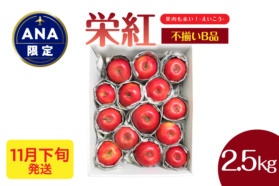 [ANA限定]中まで赤〜いりんご[栄紅][2025年11月下旬発送]訳あり 約 2.5kg 不揃い B品 家庭用 青森県 五所川原市 りんご リンゴ