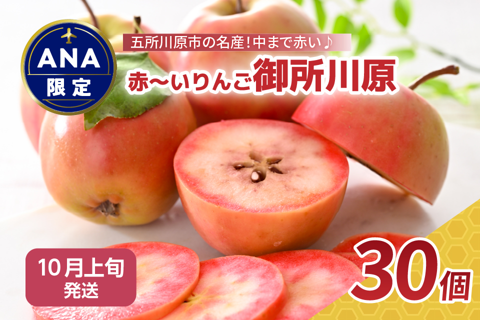 [ANA限定][ 10月 上旬] りんご レア品種 御所川原 約3.5kg(30個) 青森 五所川原[ リンゴ 林檎 果物 フルーツ ]