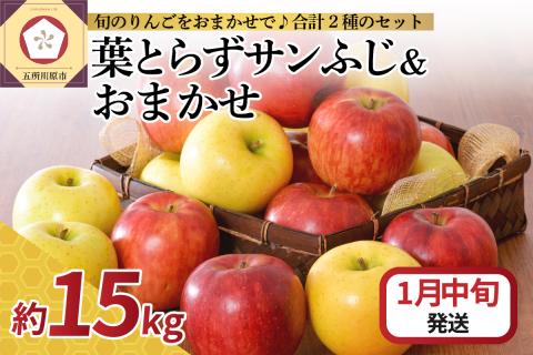 [2025年1月中旬発送]※12月末まで受付※りんご 15kg 詰め合わせ 計2種(葉とらず サンふじ と 他1種)