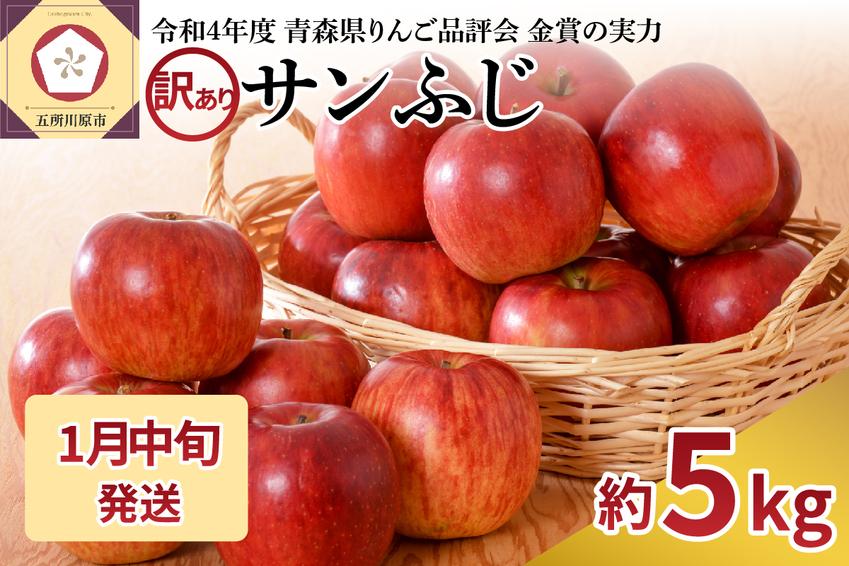 [2025年1月中旬発送]※12月末まで受付※[訳あり]りんご 青森産 約5kg サンふじ