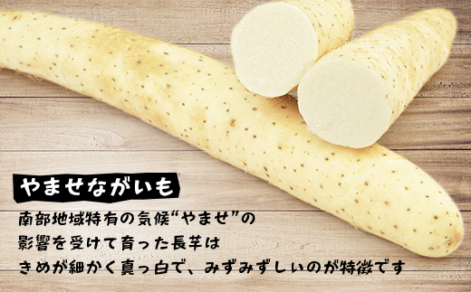 青森県三沢市　さらさらふんわり【やませながいも冷凍とろろ】(80g×12個)【配送不可地域：離島】