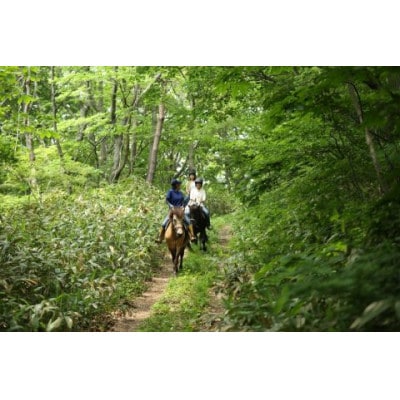 青森県三沢市　乗馬トレッキング(小川原湖トレイル)1名様120分