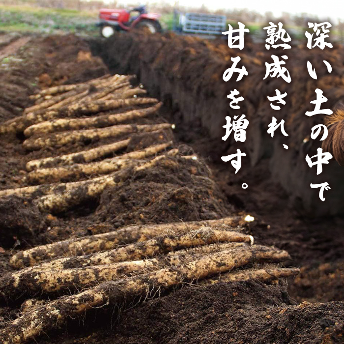 さらさらふんわり やませながいも 冷凍とろろ(80g×12個) とろろ 長芋 小分け 個包装 青森県産 冷凍保存 【材】【ms13-01】