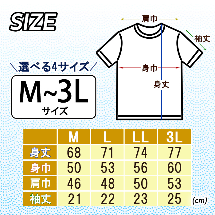 ミスビードル号太平洋無着陸横断飛行記念 オリジナルデザインTシャツ ＜レッド・Mサイズ＞ 洋服 半袖 夏服 夏 赤 レッド 飛行機 アメリカ 三沢 ウォーキング スポーツ 【株式会社ひらの洋服店】【ms29-01-R-M】