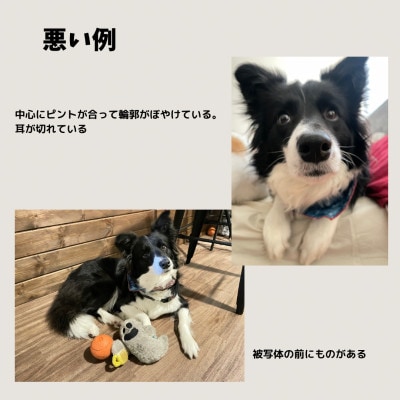 ペットとの思い出の写真　木製キーホルダー(彫刻)　2つ