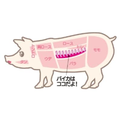 三沢パイカカレー(中辛)5個セット