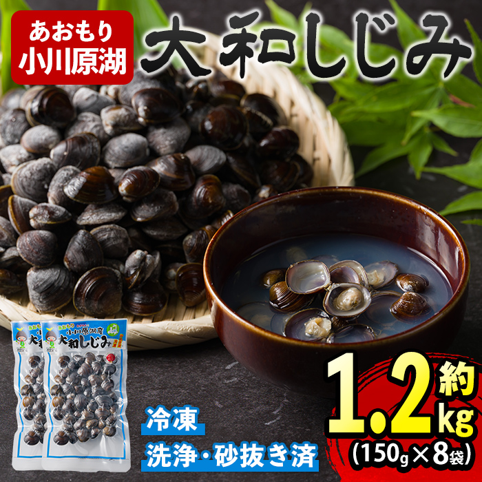 小川原湖産 大和しじみ (冷凍) (150g×8P) 小川原湖 しじみ 冷凍しじみ しじみ貝 国産 青森県産 しじみ汁 冷凍保存 冷凍食品 貝類 【小川原湖漁業協同組合】【ms18-01】