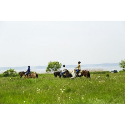 青森県三沢市　乗馬トレッキング(小川原湖トレイル)1名様120分